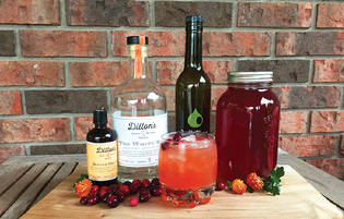  Cranberry Apple Shrub Cocktail