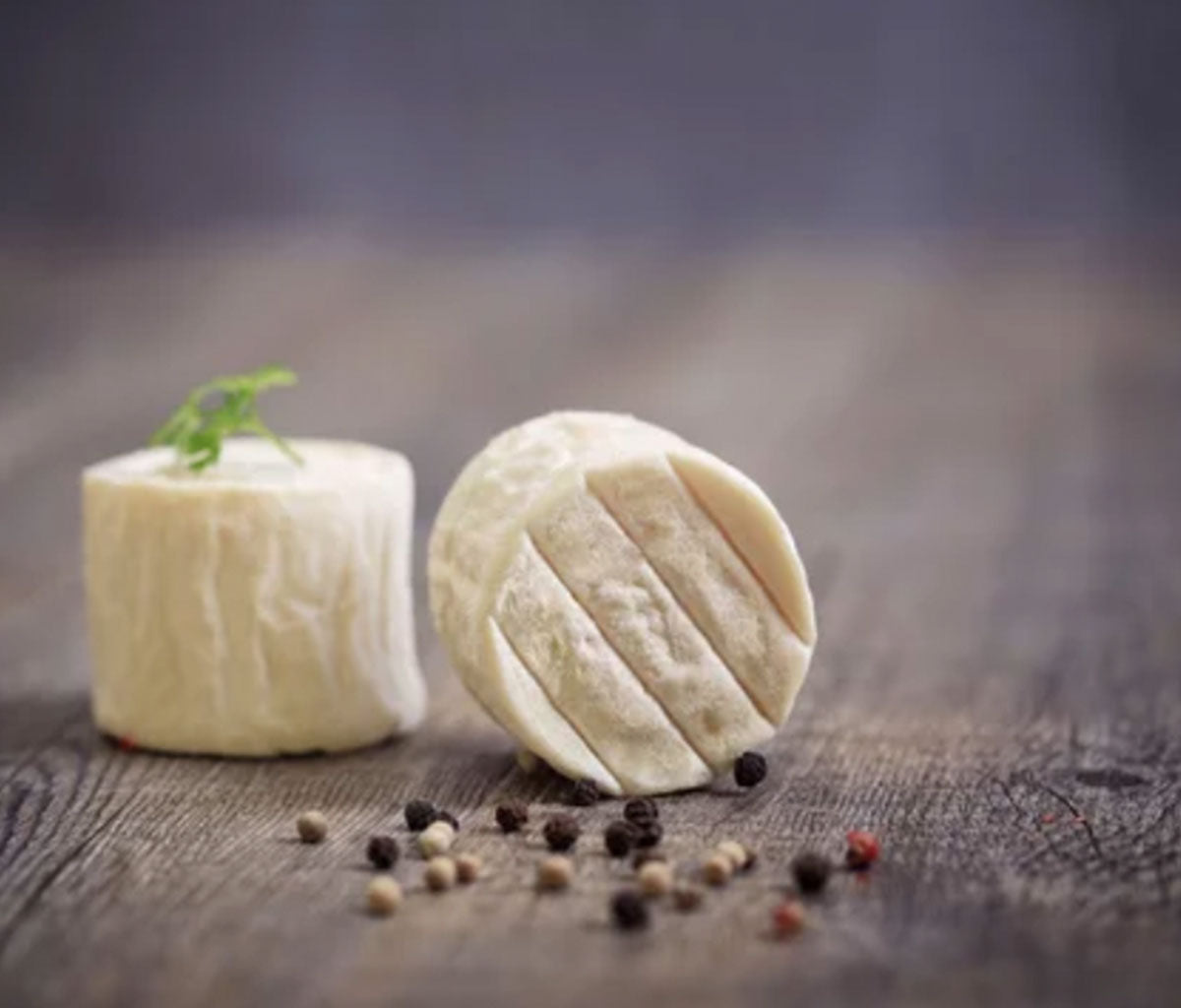 DellaTerra Cheesemaking Supplies