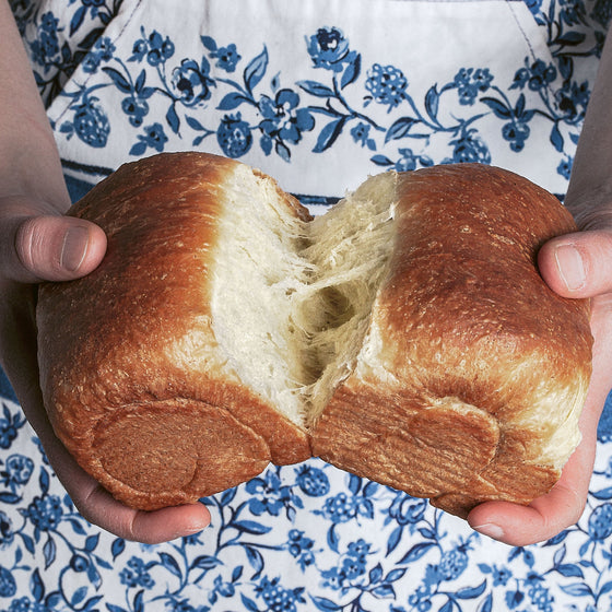 Babette's Bread: Stories, Recipes, and the Fundamental Techniques of Artisan Bread &nbsp;by Babette Kourelos