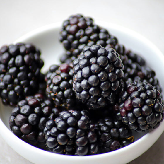 Blackberry Ginger Dark Balsamic Vinegar