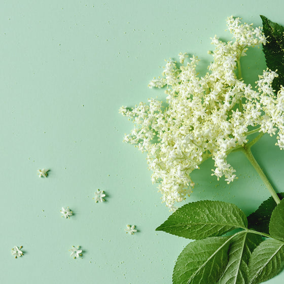 Elderflower White Balsamic Vinegar
