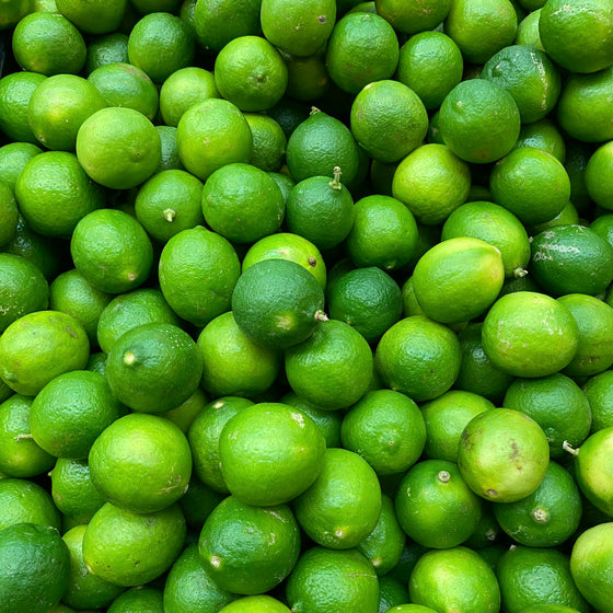 Persian Lime Extra Virgin Olive Oil