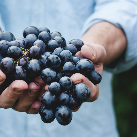 Pinot Noir Rosé White Balsamic Vinegar