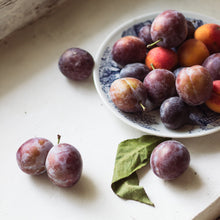  Plum Ginger White Balsamic Vinegar