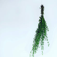  Santorini Oregano White Balsamic Vinegar