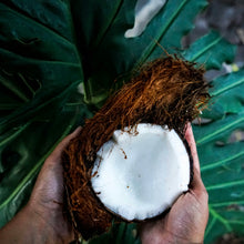  Coconut White Balsamic Vinegar
