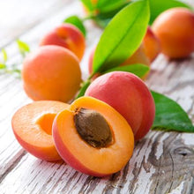  Della Terra Apricot White Balsamic Vinegar