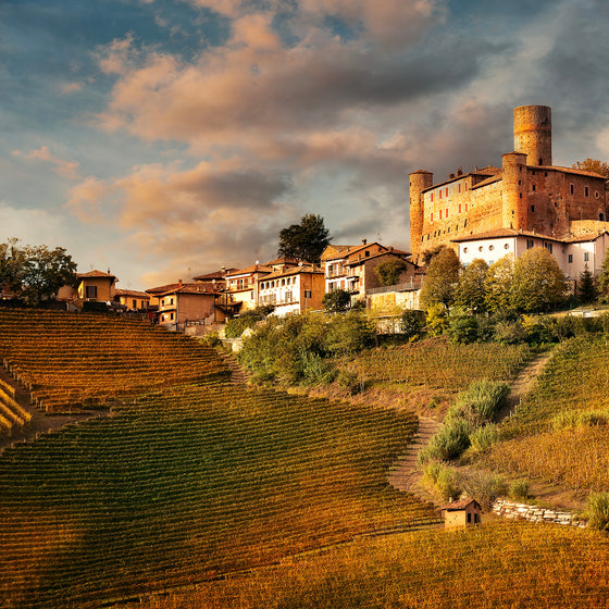 Barolo Red Wine Vinegar
