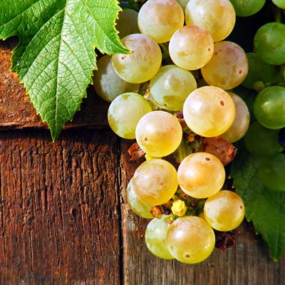 Della Terra Condimento Bianco White Balsamic Vinegar