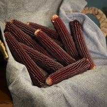  Pop-A-Cob - Purple Passion