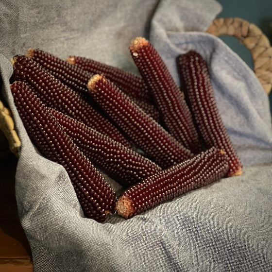Pop-A-Cob - Purple Passion
